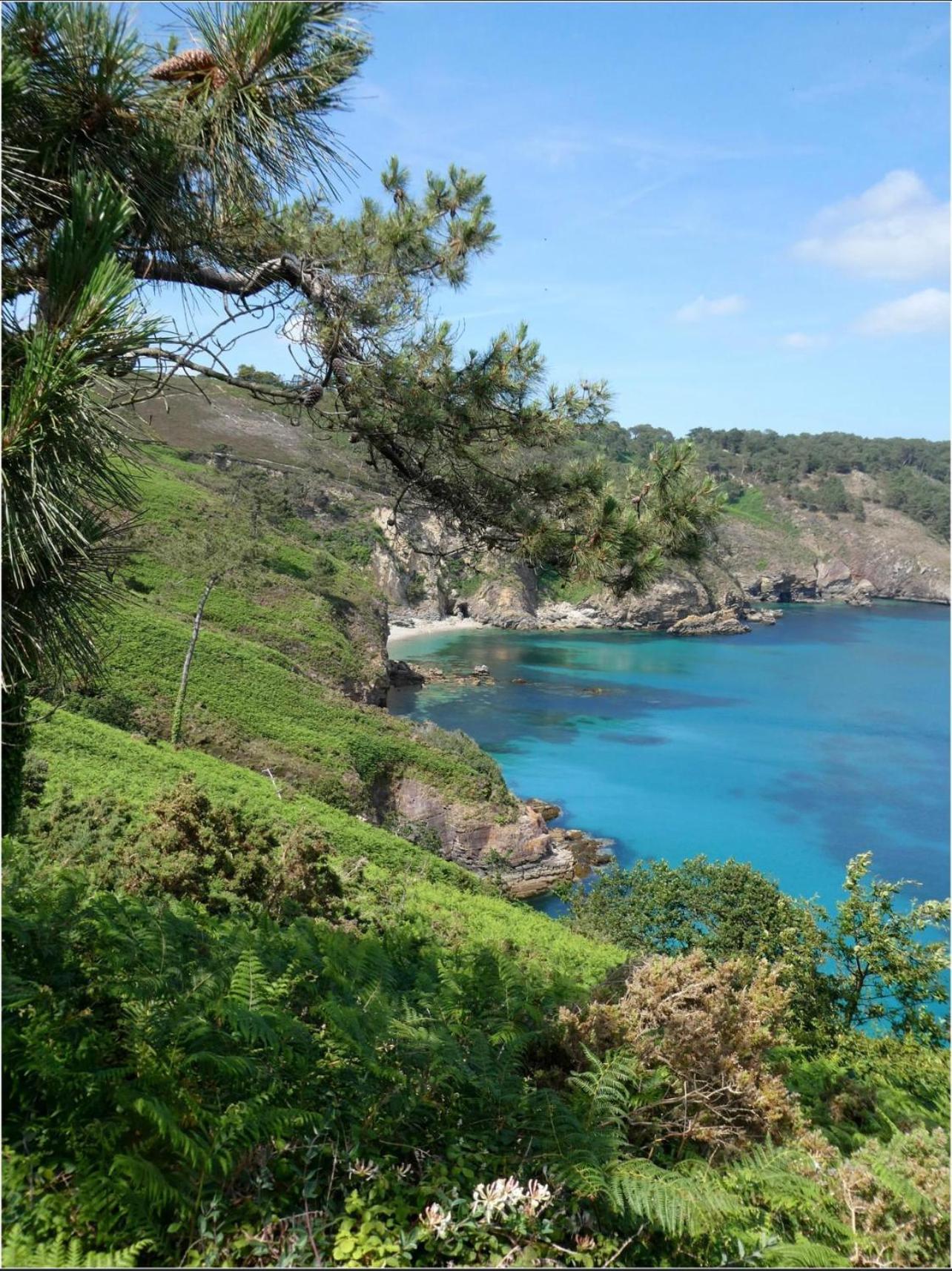 Maison Residence Odalys A Morgat En Bretagne Sur La Presqu'Ile De Crozon Situee A 800 M De La Mer Piscine Chauffee Travaux Piscine Debut Du 1 Er Juin Au 15 Juin 2025 外观 照片